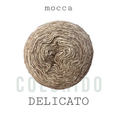 MOCCA 1